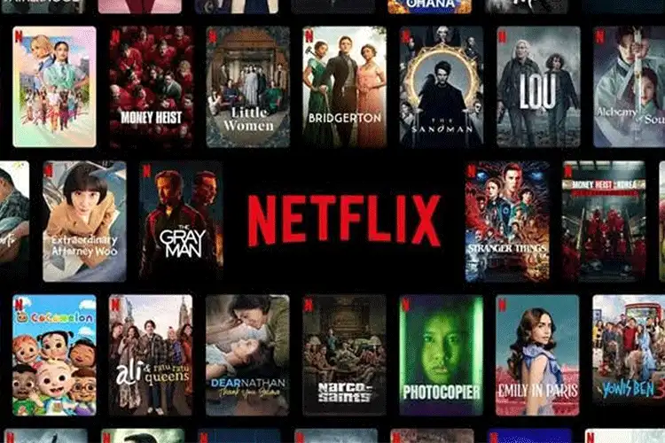 Netflix app interface screenshot